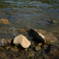 Вышел сухой из воды