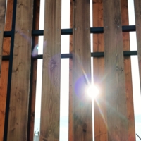 Игра в прятки