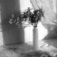 И выглянуло солнце!