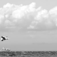 А где все, я один?