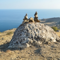 Покатай нас, большая черепаха!