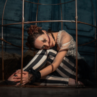 Полночный Цирк