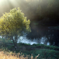 Лучи осеннего солнца