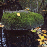 Затерянный в пространстве