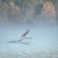Форсаж на взлёте...