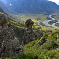 Каменные Грибы