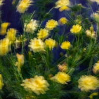 Летняя карусель