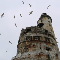 Жители старого маяка