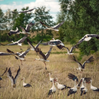 Взлёт демографии