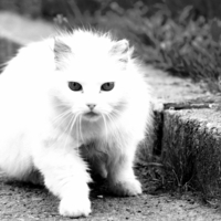 Доброе привидение...