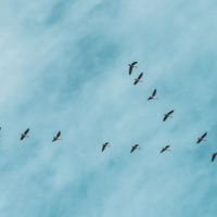 Осталось одно место