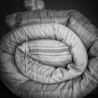 Не выходи из комнаты, не совершай ошибку.