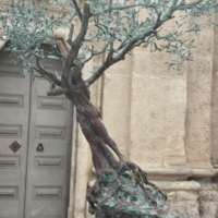 Каменное оливковое дерево