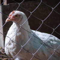 По ту сторону