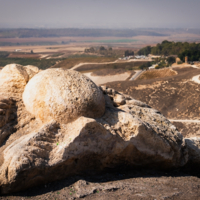 Курица или яйцо