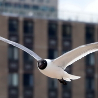 Глаза в глаза