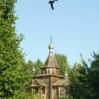 Что ты кружишь?