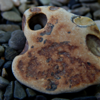 Приносящий удачу