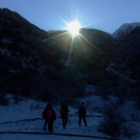 И выглянуло солнце