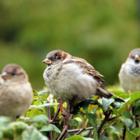 похолодало