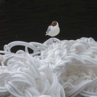 "Властелин колец"