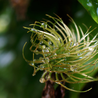 Промок клубок