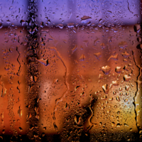 Сидит кошка у окошка...