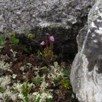 С лицом пацана