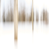 Белое половодье