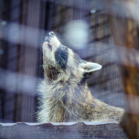 Нос по ветру