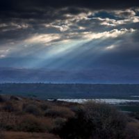 Тревожное утро