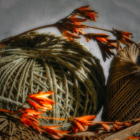 Клубки и ветки.