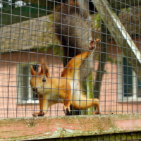 Что принёс?