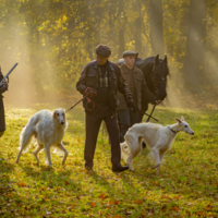 В осеннем дыму