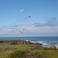 Над берегом океана