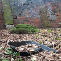 Камень у кирпичной стены