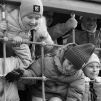 Детки  в  клетке .