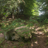 Не будите спящую собаку