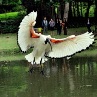 Приземление