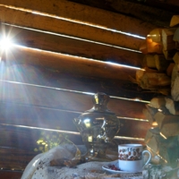 В гостях у ...