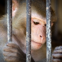 Этот взгляд