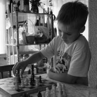 Шахматная  клетка .