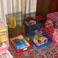 Где эта улица..