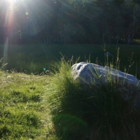 Не трус, но спрятался