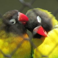 Проснись, нас снимают