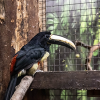 Вот такая жизнь..