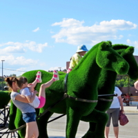 Чем бы дитя ни тешилось...