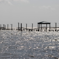 Слепящий полдень