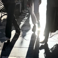 Много солнца, много тени