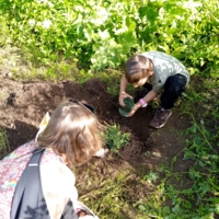 Любовь к природе